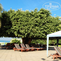 фото из отзыва ID 2102717