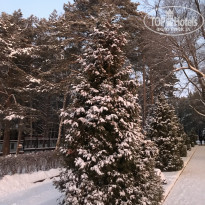 фото из отзыва ID 2102743