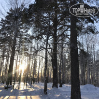 фото из отзыва ID 2102743