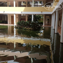 фото из отзыва ID 2102758