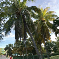 фото из отзыва ID 2102762