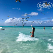 фото из отзыва ID 2102762