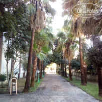 фото из отзыва ID 2102774