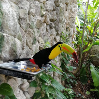 фото из отзыва ID 2102857