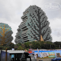 фото из отзыва ID 2102899