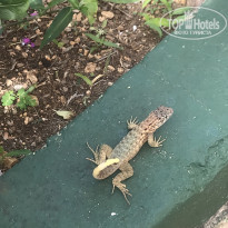 фото из отзыва ID 2102762