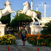 фото из отзыва ID 2102886