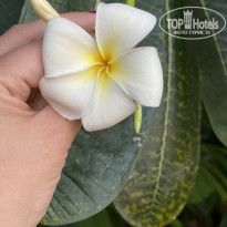 фото из отзыва ID 2103052