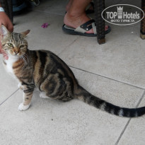 фото из отзыва ID 2103064