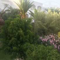 фото из отзыва ID 2103124