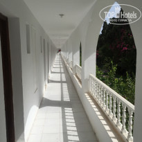 фото из отзыва ID 2103124