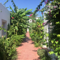 фото из отзыва ID 2103124