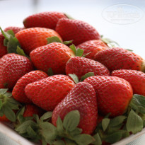 фото из отзыва ID 2103201