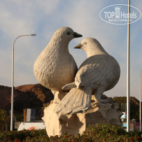 фото из отзыва ID 2103201