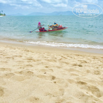 фото из отзыва ID 2103202