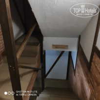 фото из отзыва ID 2103268