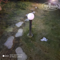 фото из отзыва ID 2103268