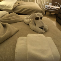 фото из отзыва ID 2103323