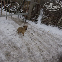 фото из отзыва ID 2102637