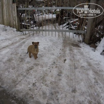 фото из отзыва ID 2102637