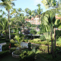 фото из отзыва ID 2103447