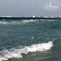 фото из отзыва ID 2103545