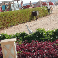 фото из отзыва ID 2103725