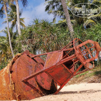 фото из отзыва ID 2103720