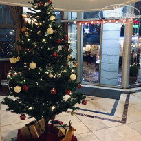 фото из отзыва ID 2103019