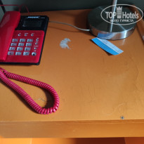 фото из отзыва ID 2103765