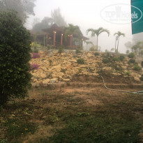 фото из отзыва ID 2103775