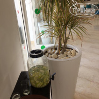 фото из отзыва ID 2101201