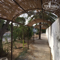 фото из отзыва ID 2101201