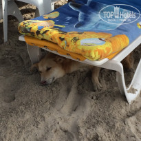 фото из отзыва ID 2101201