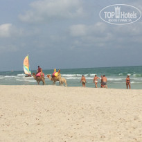 фото из отзыва ID 2101201