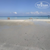 фото из отзыва ID 2101201