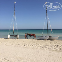 фото из отзыва ID 2101201