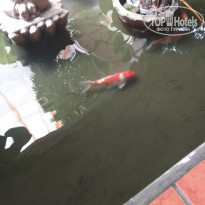 фото из отзыва ID 2104061