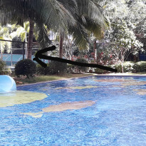 фото из отзыва ID 2103855