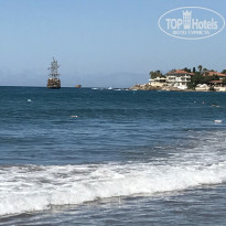 фото из отзыва ID 2104109