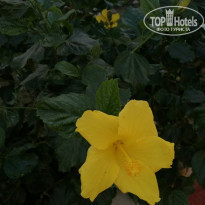 фото из отзыва ID 2102150