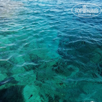 фото из отзыва ID 2104196