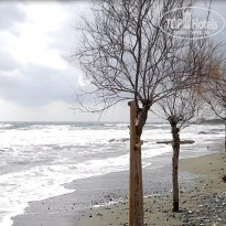 фото из отзыва ID 2104238