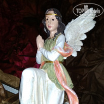 фото из отзыва ID 2104290