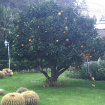 фото из отзыва ID 2104360