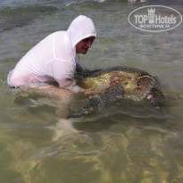 фото из отзыва ID 2104378