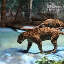 фото из отзыва ID 2104386