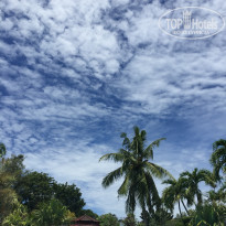 фото из отзыва ID 2104386