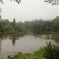 фото из отзыва ID 2104386