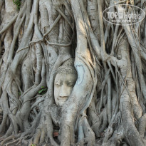 фото из отзыва ID 2104386